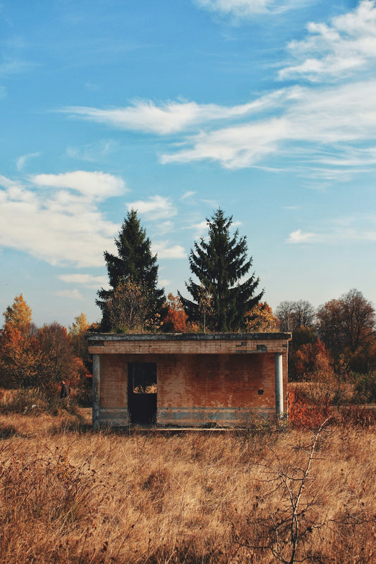 brown wooden house surrounded by trees under blue sky during daytime